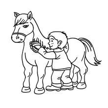 Dibujo para colorear : un niño cepillando a su caballo