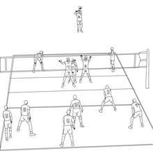 Dibujo para colorear : un partido de voleibol