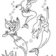 Grupo de sirenas nadando para colorear - Dibujos para Colorear y Pintar - Dibujos para colorear de FANTASIA - Dibujos SIRENAS para colorear - Dibujos de SIRENAS para imprimir