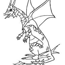 Dibujo para colorear : un dragon guerrero