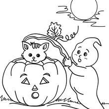 Dibujo para colorear fantasma con su amigos de halloween - Dibujos para Colorear y Pintar - Dibujos para colorear FIESTAS - Dibujos para colorear HALLOWEEN - Dibujos para colorear FANTASMAS HALLOWEEN