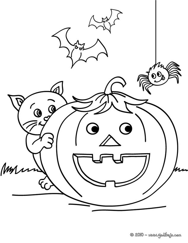 Dibujos para colorear calabaza con araña y gato negro halloween -  