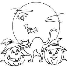 Dibujo para colorear : calabazas y gato negro de halloween