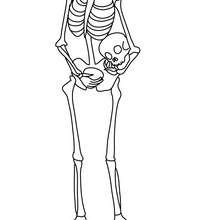 Dibujo para colorear : esqueleto sin cabeza para halloween