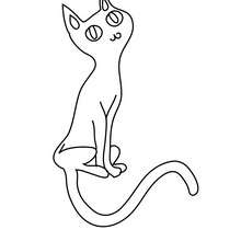 dibujo para colorear un gato negro de halloween - Dibujos para Colorear y Pintar - Dibujos para colorear FIESTAS - Dibujos para colorear HALLOWEEN - Dibujo para colorear GATO NEGRO halloween