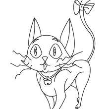 Dibujo de un gato negro fantasma para colorear - Dibujos para Colorear y Pintar - Dibujos para colorear FIESTAS - Dibujos para colorear HALLOWEEN - Dibujo para colorear GATO NEGRO halloween