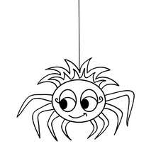 Dibujo para colorear : una araña chistosa  Halloween