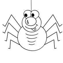 Dibujo para colorear : una araña con 8 patas