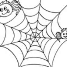 Colorear TELARAÑAS - 11 dibujos de araña para colorear y dibujos infantiles para  colorear arañas halloween GRATIS, dibujos para pintar arañas halloween, colorear  arañas halloween online, dibujos para imprimir en 