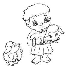 Dibujo para colorear : un niño pastor con corderos