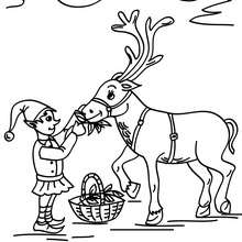 Dibujo para colorear un reno navideño con un duende - Dibujos para Colorear y Pintar - Dibujos para colorear FIESTAS - Dibujos para colorear de NAVIDAD - Dibujos ELFOS DE NAVIDAD para colorear
