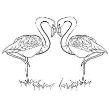 Dibujo para colorear : Corazones y flamingos