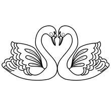 Dibujo para colorear : Corazón de cisnes