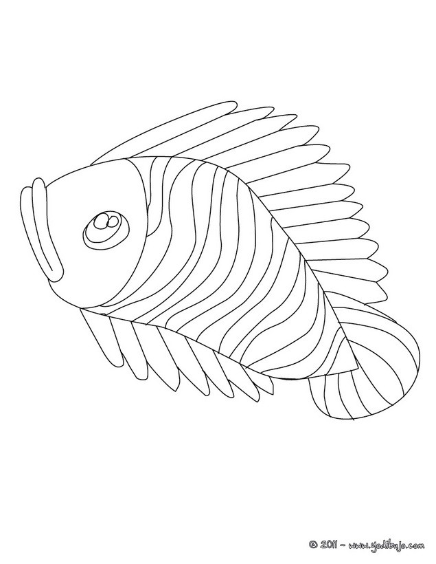 Dibujos para colorear pescado de abril rayado 