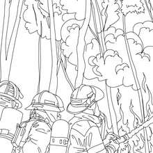 Dibujo para colorear : un grupo de bomberos con la manguera de agua para apagar el incendio