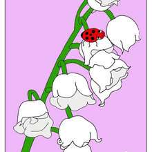 Ilustración : Dibujo de un ramo de flores para el dia de la madre