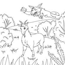 Colorear la Cabra del Señor Seguin - Dibujos para Colorear y Pintar - Dibujos de CUENTOS para colorear - Cuentos de Alphonse DAUDET para colorear