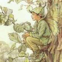 El elfo del rosal - Lecturas Infantiles - Cuentos infantiles - Cuentos clásicos - Los cuentos de Andersen