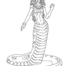 Dibujo para colorear : EQUIDNA , criatura mitad mujer y mitad serpiente