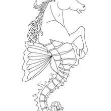 Dibujo para colorear : HIPOCAMPO , criatura mitad caballo y mitad pez