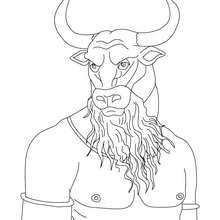 Dibujo para colorear : MINOTAURO , gigante monstruo con cabeza de toro y cuerpo de hombre