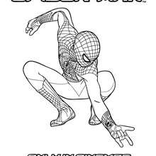Dibujo para colorear : The Amazing Spiderman