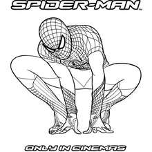 The Amazing Spiderman agachado para colorear y pintar - Dibujos para Colorear y Pintar - Dibujos para colorear SUPERHEROES - Dibujos para colorear SPIDERMAN - Dibujos de THE AMAZING SPIDERMAN para colorear