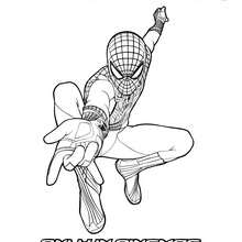 Dibujo para colorear y pintar The Amazing Spiderman - Dibujos para Colorear y Pintar - Dibujos para colorear SUPERHEROES - Dibujos para colorear SPIDERMAN - Dibujos de THE AMAZING SPIDERMAN para colorear