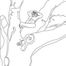 Dibujo de un AUSTRALOPITECO en un árbol - Dibujos para Colorear y Pintar - Dibujos para colorear HISTORIA - PREHISTORIA dibujos para colorear
