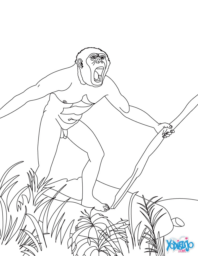 Dibujos para colorear homo habilis con una lanza 