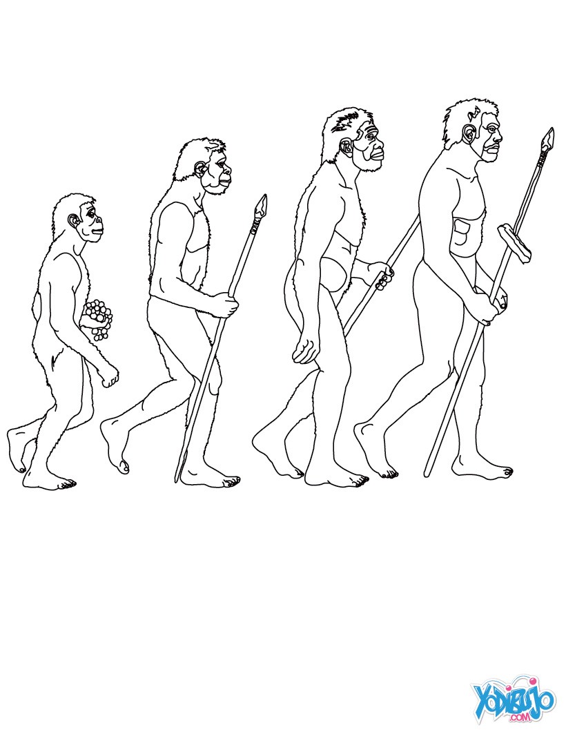 Dibujos para colorear etapas de la evolucion humana 