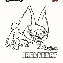Dibujo del murcielago JACKROBAT para colorear - Dibujos para Colorear y Pintar - Dibujos de PELICULAS colorear - Dibujos de LOS CROODS para colorear