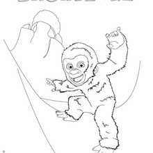 Dibujo de COPO DE NIEVE el gorila para colorear y pintar - Dibujos para Colorear y Pintar - Dibujos de PELICULAS colorear - Dibujos de COPITO DE NIEVE para colorear