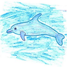 Aprender a dibujar : Gran delfín