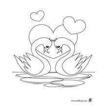Dibujos para colorear cisnes amor puro 