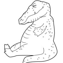 Dibujo para colorear : cocodrilo que descansa
