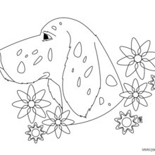 Dibujo para colorear : un perro Labrador