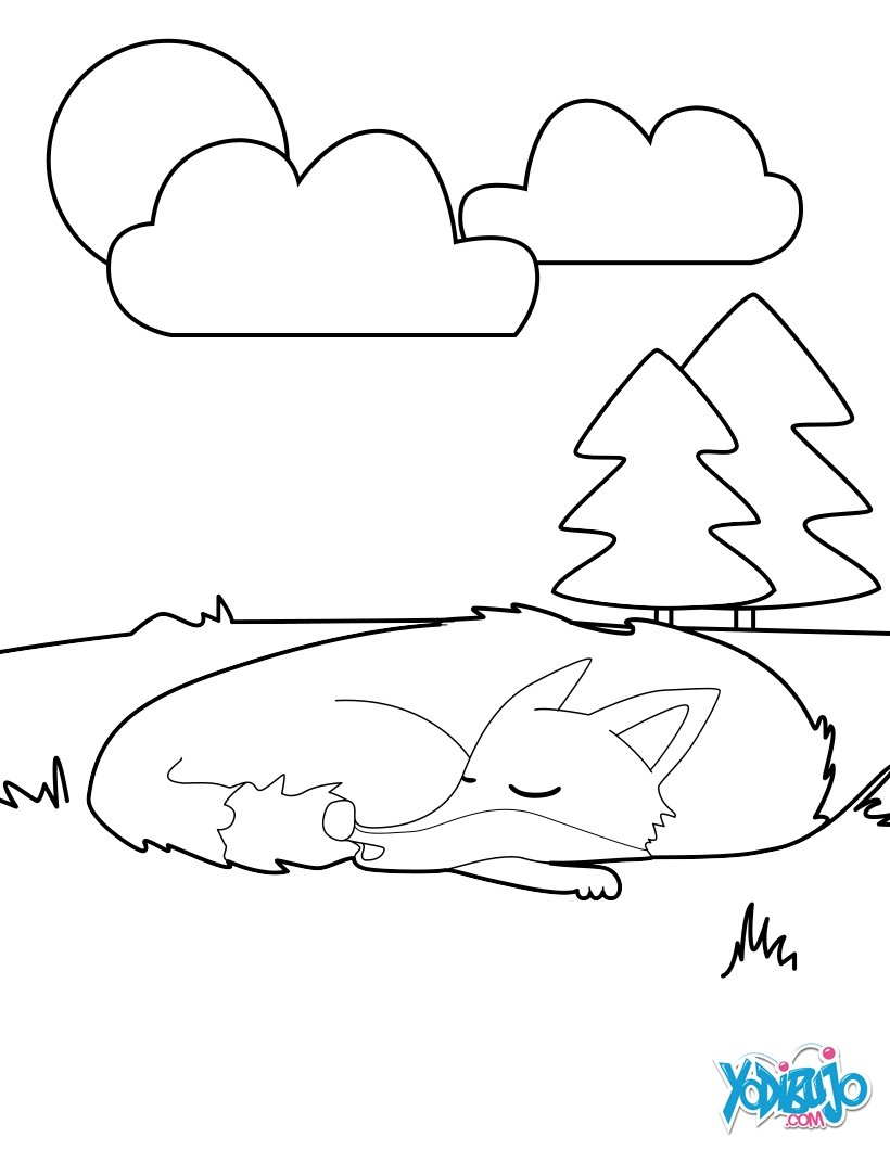 Dibujos para colorear zorro dormido 