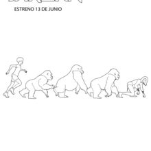 Dibujo para colorear : Familia de Gorilas