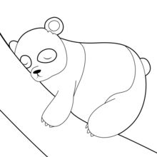 Dibujo para colorear : Oso Panda Durmido