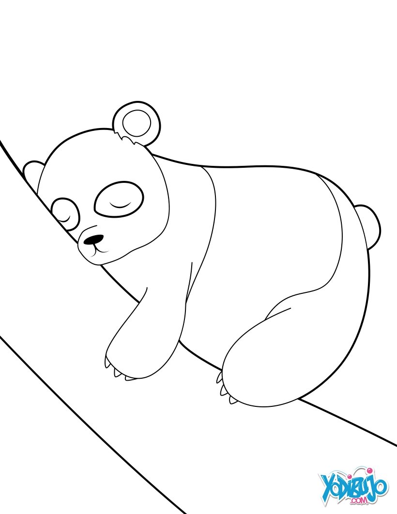 Dibujos para colorear oso panda durmido 