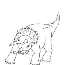 Dibujo para colorear : Dinosaurio con 3 cuernos
