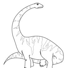 Dibujo para colorear : Diplodocus para imprimir