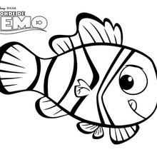 Dibujo para colorear : Buscando a Nemo