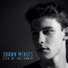 Video : Shawn Mendes - Life of the Party