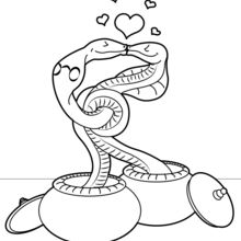 Dibujo para colorear : Pareja de serpientes
