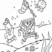 Dibujo para colorear : Busca medusas con Patricio Estrella