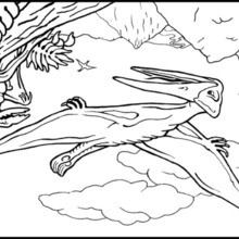 Dibujo para colorear : Pterosaurio