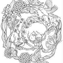 Dibujo para colorear : Mandala con estampados con las aves