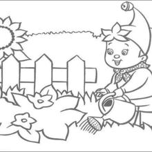 Dibujo para colorear : Noddy riega el jardín